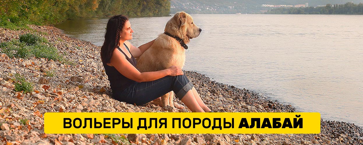 Вольер для Алабая (Среднеазиатской овчарки)
